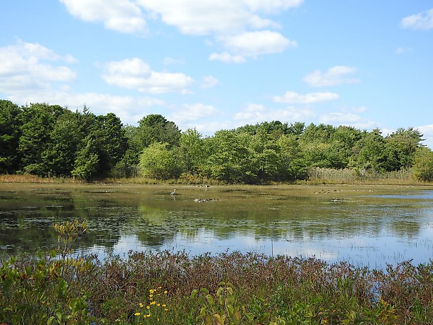 View of the Edwin B. Forsythe National Wildlife Refuge